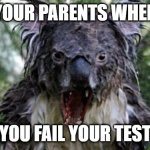 Image Title 1 | YOUR PARENTS WHEN; YOU FAIL YOUR TEST | image tagged in memes,angry koala | made w/ Imgflip meme maker