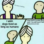 Ye | I wish dogs lived as long as humans | image tagged in you have 3 wishes | made w/ Imgflip meme maker