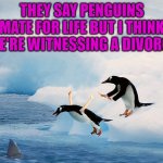 "For Life" is sooner for some than others... | THEY SAY PENGUINS MATE FOR LIFE BUT I THINK WE'RE WITNESSING A DIVORCE | image tagged in penguin pusher,memes,mating for life,funny,penguins,divorce | made w/ Imgflip meme maker