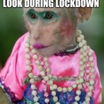 Lockdown Looks | ME EXPERIMENTING WITH A NEW LOOK DURING LOCKDOWN | image tagged in monkey make up | made w/ Imgflip meme maker