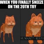 Humanity restored | WHEN YOU FINALLY SNEEZE 
ON THE 20TH TRY | image tagged in humanity restored | made w/ Imgflip meme maker