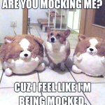 When You Get Siblings | image tagged in dogs | made w/ Imgflip meme maker