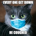 catvid cat | EVERY ONE GET DOWN; HE COUGHED | image tagged in catvid cat | made w/ Imgflip meme maker