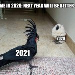 2021 | ME IN 2020: NEXT YEAR WILL BE BETTER. 2020; 2021; @DAILY.BIRD.MEMES | image tagged in white bird afraid of goth bird | made w/ Imgflip meme maker