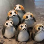 Lots of porgs meme