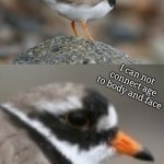When you suddenly realize Ringed Plover | People if I told them my real age;; I can not connect age to body and face | image tagged in when you suddenly realize ringed plover,age | made w/ Imgflip meme maker