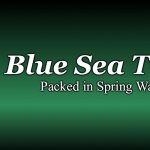 green blank | Blue Sea Tuna; Packed in Spring Water | image tagged in green blank,dolphin killed tuna | made w/ Imgflip meme maker