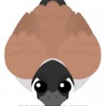 What do you think of me? | WHAT DO YOU THINK OF ME? COMMENT DOWN | image tagged in heyuwantsomememes | made w/ Imgflip meme maker