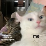 me; my brother, angry at me for annoying him | image tagged in cats,cat | made w/ Imgflip meme maker