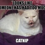 My cat Pixie | LOOKS LIKE SOMEONE HAS HAD TOO MUCH; CATNIP | image tagged in kitty cat dull surprise,cat,meme | made w/ Imgflip meme maker