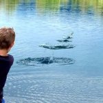 Skipping rocks