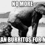 Elephant Poopy | NO MORE; BEAN BURRITOS FOR ME. | image tagged in elephant poopy | made w/ Imgflip meme maker