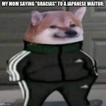 Slav doge | MY MOM SAYING "GRACIAS" TO A JAPANESE WAITOR: | image tagged in slav doge | made w/ Imgflip meme maker