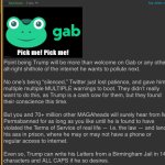 Kamikaze roast Gab