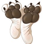 Furry Footpaws