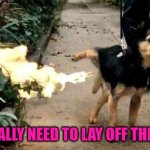 No wonder they call it firewater! | MAN I REALLY NEED TO LAY OFF THE TEQUILA | image tagged in dog peeing fire,memes,dogs,funny,animals,tequila | made w/ Imgflip meme maker