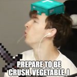 Flamingo | TECHINOBLADE DEFEATING DREAM IN NUTSHELL; PREPARE TO BE CRUSH, VEGETABLE. I | image tagged in flamingo | made w/ Imgflip meme maker