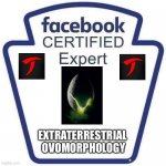 Certified expert in Extraterrestrial Ovomorphology | EXTRATERRESTRIAL
 OVOMORPHOLOGY | image tagged in facebook certified expert badge 1 | made w/ Imgflip meme maker