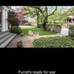 Furrets ready for war