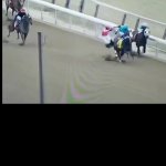 Horse racing race fix GIF Template
