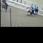 Horse racing race fix meme