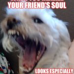 WHEN YOU REALIZE YOUR FRIEND'S SOUL; LOOKS ESPECIALLY TASTY TODAY | image tagged in hungry dog | made w/ Imgflip meme maker