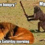 Hungry Cats | My Cats; "We're hungry."; Me on a Saturday morning | image tagged in drunk monkey,memes,hungry cat,grumpy cat,woman yelling at cat | made w/ Imgflip meme maker