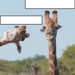 Silly Giraffe meme