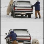 Polar bear chases man | WHERE ARE YOU GOING? I’M YOUR UBER DRIVER. | image tagged in polar bear chases man | made w/ Imgflip meme maker