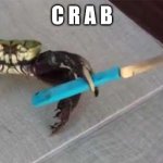 Crab with Knife | C R A B | image tagged in crab with knife | made w/ Imgflip meme maker