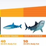 Chonk Chart (Fishes) | image tagged in chonk chart,fish | made w/ Imgflip meme maker