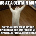 Why Why Why Funny Cat | IT WAS AT A CERTAIN MOMENT; THAT I SOMEHOW FOUND OUT THIS STUPID CORONA SHIT WAS FORCING ME TO CHANGE MY WEEKEND PLANS A SECOND TIME OVERALL | image tagged in why why why funny cat,dank memes,weekend,coronavirus meme,memes | made w/ Imgflip meme maker