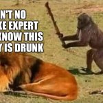 Drunk Monkey | I AN'T NO MONKEY EXPERT BUT I KNOW THIS MONKEY IS DRUNK | image tagged in drunk monkey | made w/ Imgflip meme maker