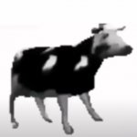 Polish Cow meme