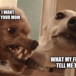 yerp | WHAT I WANT TO DO TO YOUR MOM; WHAT MY FEELINGS TELL ME TO DO | image tagged in angry doog | made w/ Imgflip meme maker