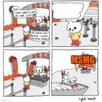 MSMG
