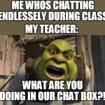 Bro im literally just vibin | ME WHOS CHATTING ENDLESSELY DURING CLASS; MY TEACHER:; WHAT ARE YOU DOING IN OUR CHAT BOX?! | image tagged in shrek what are you doing in my swamp,zoom | made w/ Imgflip meme maker