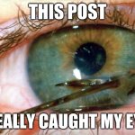 Hook and eye | THIS POST; REALLY CAUGHT MY EYE | image tagged in hook and eye | made w/ Imgflip meme maker