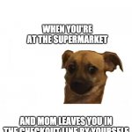 Concerned doggo | WHEN YOU'RE AT THE SUPERMARKET; AND MOM LEAVES YOU IN THE CHECKOUT LINE BY YOURSELF | image tagged in concerned doggo | made w/ Imgflip meme maker