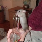 Drinking alone | IT'S NOT DRINKING ALONE WHEN YOUR RAT IS WITH YOU... "YES KAREN, IT IS!" | image tagged in rachael longstaff | made w/ Imgflip meme maker