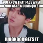 YOU KNOW THAT FACE WHEN YOUR MOM ASKS A DUMB QUESTION? JUNGKOOK GETS IT | image tagged in bts | made w/ Imgflip meme maker