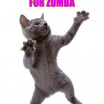 Zumba cat's happy dance | CAN'T WAIT FOR ZUMBA; TOMORROW!! | image tagged in happy dance cat | made w/ Imgflip meme maker