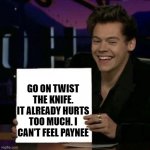 Paynee | GO ON TWIST THE KNIFE. IT ALREADY HURTS TOO MUCH. I CAN'T FEEL PAYNEE | image tagged in harry styles | made w/ Imgflip meme maker