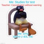 Hate when this happens. | Me: Studies for test; Teacher: Cancels test without warning; Me: wHy dId'Nt U tElL mE | image tagged in mad mr penguin | made w/ Imgflip meme maker