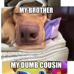 The Three Dogs | ME; MY BROTHER; MY DUMB COUSIN | image tagged in the three dogs | made w/ Imgflip meme maker