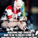 Accepting the cat life | REALISING THAT I REALLY HAVE TO GO TO THE PET STORE TO LOOK FOR SOME CATS TO CALL MY OWN | image tagged in harley quinn | made w/ Imgflip meme maker