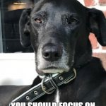 are u focused welll- Dogo watin | DOGO SAYS:; YOU SHOULD FOCUS ON WHAT YOU SHOULD BE DOIN | image tagged in dogo says,adorable,puppy | made w/ Imgflip meme maker