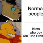 You could just download AdblockPlus. | Normal people; Idiots who buy YouTube Premium | image tagged in fancy and idiot pooh,adblock,funny,youtube,stop reading the tags,memes | made w/ Imgflip meme maker