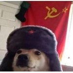 Comunism doggo