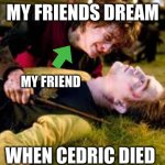 All girls who thought Cedric was cute | MY FRIENDS DREAM; MY FRIEND; WHEN CEDRIC DIED | image tagged in death of cedric diggory | made w/ Imgflip meme maker